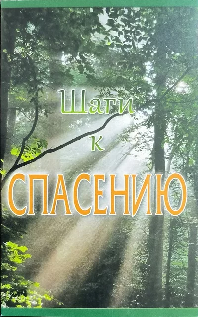 Обложка книги «Шаги к спасению»