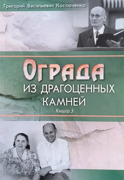 Обложка книги «Ограда из драгоценных камней. Книга 3»