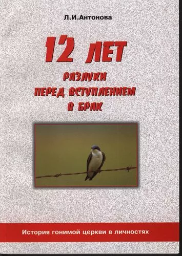 Обложка книги «12 лет разлуки перед вступлением в брак»