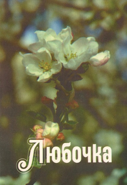 Обложка книги Любочка
