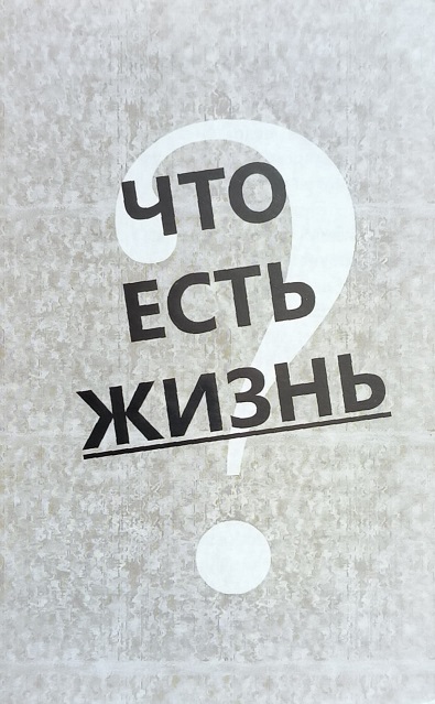 Обложка Что есть жизнь? 